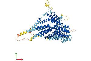 AlphaFold protein structure predicition of Mouse Recombinant Slc13a5 Protein, UniprotID Q67BT3