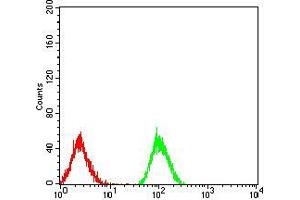 Flow cytometric analysis of Jurkat cells using PPARA mouse mAb (green) and negative control (red). (PPARA antibody  (AA 1-120))