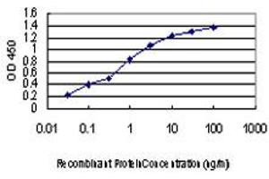 Detection limit for recombinant GST tagged KSR2 is approximately 0. (KSR2 antibody  (AA 411-500))