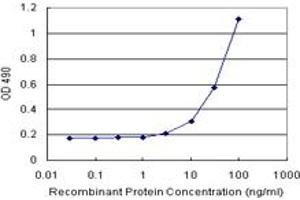 Sandwich ELISA detection sensitivity ranging from 3 ng/mL to 100 ng/mL.