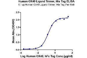 Immobilized Human OX40 Ligand Trimer, His Tag at 1 μg/mL (100 μL/well) on the plate. (TNFSF4 Protein (Trimer) (His-DYKDDDDK Tag))