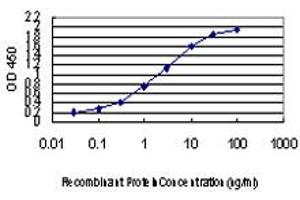 Detection limit for recombinant GST tagged CDK8 is approximately 0. (CDK8 antibody  (AA 375-464))