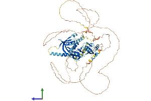 Protein Structure (PS) image for Amyloid beta (A4) Precursor Protein-Binding, Family A, Member 2 (APBA2) (AA 1-750) protein (His tag) (ABIN7556841)
