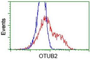 HEK293T cells transfected with either RC209650 overexpress plasmid (Red) or empty vector control plasmid (Blue) were immunostained by anti-OTUB2 antibody (ABIN2453409), and then analyzed by flow cytometry. (OTUB2 antibody)