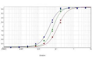 ELISA results of purified Goat anti-Human IgG antibody Alk Phos Conjugation. (Rabbit anti-Horse IgG (Heavy & Light Chain) Antibody (Alkaline Phosphatase (AP)) - Preadsorbed)