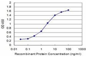 Detection limit for recombinant GST tagged KLF1 is approximately 0. (KLF1 antibody  (AA 183-237))