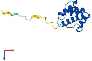 AlphaFold protein structure predicition of Human Recombinant PLAC8 Protein, UniprotID Q9NZF1