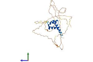 Protein Structure (PS) image for Homeobox D13 (HOXD13) (AA 1-339) protein (His tag) (ABIN7556676)