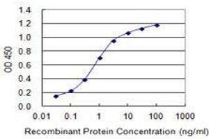 Detection limit for recombinant GST tagged SLC24A1 is 0. (SLC24A1 antibody  (AA 162-268))