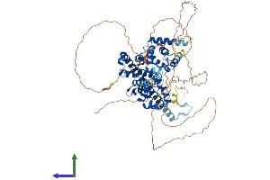 Protein Structure (PS) image for TBC1 Domain Family, Member 14 (TBC1D14) (AA 1-694) protein (His tag) (ABIN7559322)