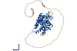 Protein Structure (PS) image for Retinoid X Receptor, gamma (RXRG) (AA 1-463) protein (His tag) (ABIN7551637)