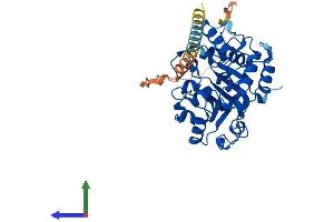AlphaFold protein structure predicition of Mouse Recombinant St6gal1 Protein, UniprotID Q64685 (ST6GAL1 Protein (AA 1-403) (His tag))