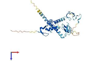 AlphaFold protein structure predicition of Human Recombinant RNF144A Protein, UniprotID P50876 (RNF144A Protein (AA 1-292) (His tag))