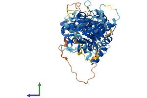 Protein Structure (PS) image for TBC1 Domain Family, Member 24 (TBC1D24) (AA 1-561) protein (His tag) (ABIN7557288)