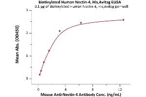 Immobilized Biotinylated Human Nectin-4, His,Avitag (ABIN6938938,ABIN6950980) at 1 μg/mL (100 μL/well) on streptavidin  precoated (0. (PVRL4 Protein (AA 32-349) (His tag,AVI tag,Biotin))