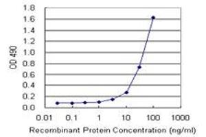 Sandwich ELISA detection sensitivity ranging from 3 ng/mL to 100 ng/mL. (IL13 (Human) Matched Antibody Pair)
