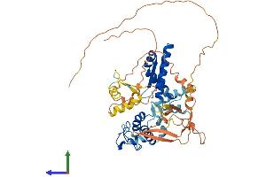 Protein Structure (PS) image for Nuclear Respiratory Factor 1 (NRF1) (AA 1-503) protein (His tag) (ABIN7549820)