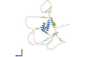 AlphaFold protein structure predicition of Human Recombinant HOXB2 Protein, UniprotID P14652