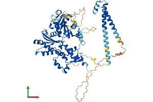 Protein Structure (PS) image for ARP5 Actin-Related Protein 5 Homolog (ACTR5) (AA 1-605) protein (His tag) (ABIN7558339)