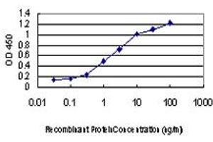 Detection limit for recombinant GST tagged DDIT3 is approximately 0. (DDIT3 antibody  (AA 1-90))