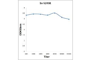 Antigen: 0. (CDC25B antibody  (pSer353))