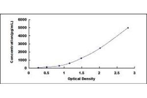 Typical standard curve (GDF9 ELISA Kit)