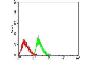 Flow cytometric analysis of HL-60 cells using ATXN1 mouse mAb (green) and negative control (red). (Ataxin 1 antibody  (AA 645-815))