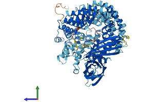 AlphaFold protein structure predicition of Human Recombinant COPG2 Protein, UniprotID Q9UBF2 (COPG2 Protein (AA 1-871) (His tag))