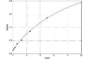 A typical standard curve