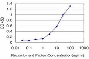 Detection limit for recombinant GST tagged IFI16 is approximately 0. (IFI16 antibody  (AA 630-729))
