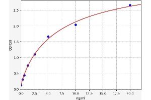 SMAD2 ELISA Kit