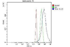 Flow Cytometry analysis of Hela cells using anti-PKM2 antibody (ABIN7603151). (PKM antibody  (N-Term))