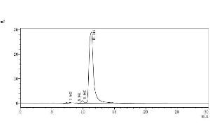 The purity of SIRPB1 was greater than 95 % as determined by SEC-HPLC
