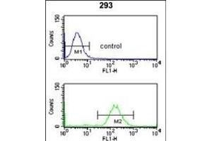 SMNDC1 Antibody (N-term) (ABIN653319 and ABIN2842811) flow cytometry analysis of 293 cells (bottom histogram) compared to a negative control cell (top histogram).