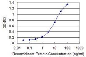 Detection limit for recombinant GST tagged PITPNB is 0. (PITPNB antibody  (AA 181-271))
