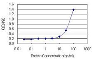 Sandwich ELISA detection sensitivity ranging from 3 ng/mL to 100 ng/mL. (SPR (Human) Matched Antibody Pair)