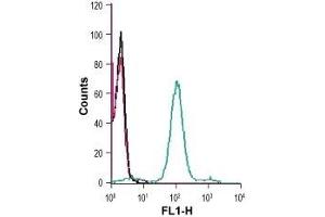 Cell surface detection of CCR2 in live intact human THP-1 monocytic leukemia cells: (black line) Cells. (CCR2 antibody  (Extracellular))