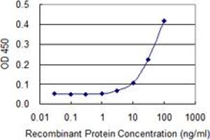 Detection limit for recombinant GST tagged SCG5 is 3 ng/ml as a capture antibody. (SCG5 antibody  (AA 59-159))