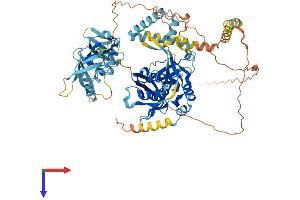 AlphaFold protein structure predicition of Human Recombinant FAM111B Protein, UniprotID Q6SJ93 (FAM111B Protein (AA 1-734) (His tag))