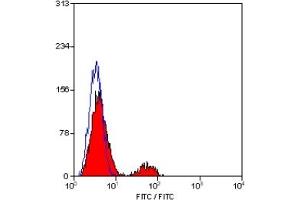 Staining of human peripheral blood lymphocytes with MOUSE ANTI HUMAN CD21:FITC (ABIN119511). (CD21 antibody  (FITC))