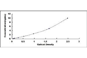 Typical standard curve (CXCL16 ELISA Kit)