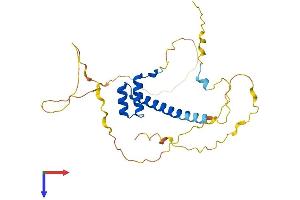 AlphaFold protein structure predicition of Mouse Recombinant Hmx2 Protein, UniprotID P43687 (HMX2 Protein (AA 1-273) (His tag))