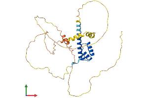 AlphaFold protein structure predicition of Mouse Recombinant Phox2b Protein, UniprotID O35690