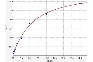 beta Actin ELISA Kit