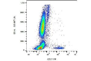 Surface staining of CD22 in human peripheral blood cells with anti-CD22 (IS7) PE. (CD22 antibody  (PE))