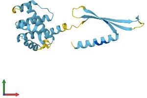 AlphaFold protein structure predicition of Human Recombinant COMMD4 Protein, UniprotID Q9H0A8 (COMMD4 Protein (AA 1-199) (His tag))