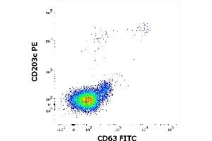 Flow cytometry dot-plot staining pattern of rBet v 2 recombinant allergen stimulated human peripheral whole blood lymphocytes and basophils of a proven allergic donor stained using anti-human CD63 (MEM-259) FITC and anti-human CD203c (NP4D6) PE antibodies .