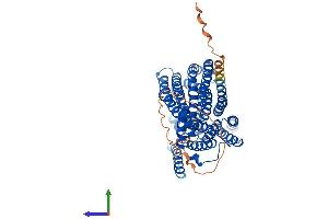 AlphaFold protein structure predicition of Human Recombinant SLC47A1 Protein, UniprotID Q96FL8 (SLC47A1 Protein (AA 1-570) (His tag))