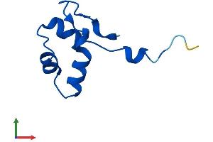 AlphaFold protein structure predicition of Human Recombinant POLR2L Protein, UniprotID P62875 (POLR2L Protein (AA 1-67) (Fc Tag))