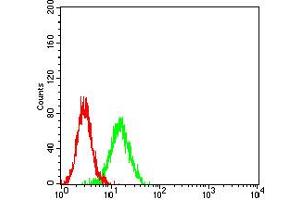 Flow cytometric analysis of K562 cells using CD195 mouse mAb (green) and negative control (red). (CCR5 antibody)